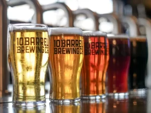 Tips for Working in a Pub as Your First Job