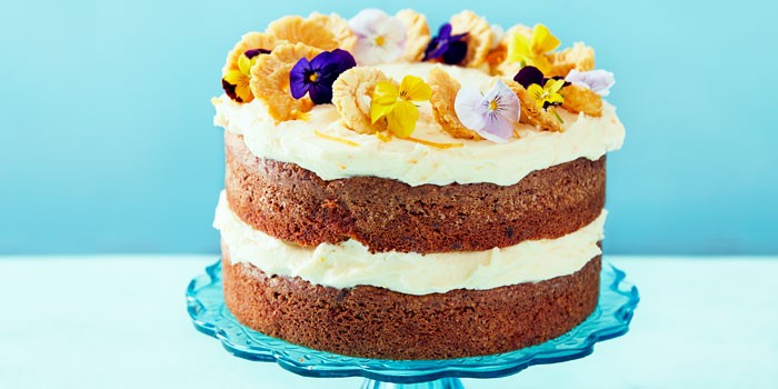 article_11546_featured_1770989156